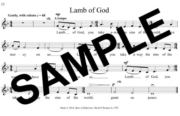 Mass of Reflection Sample Assembly 9