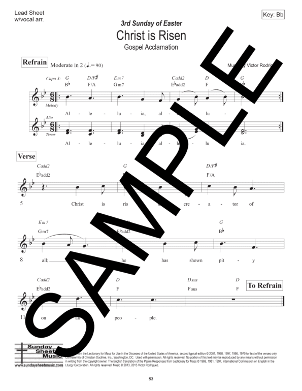 Sample Psalms and Acclamations Rodriguez Easter Year C 259